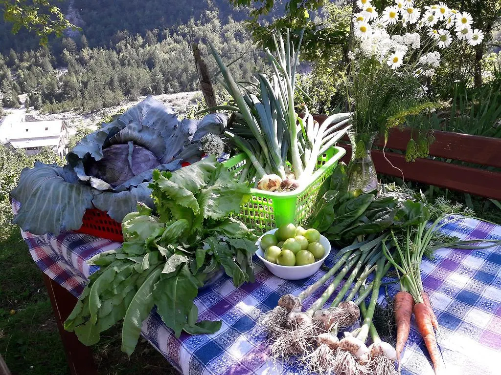 Villa Gjecaj Guesthouse And Restaurant Theth Bed & Breakfast